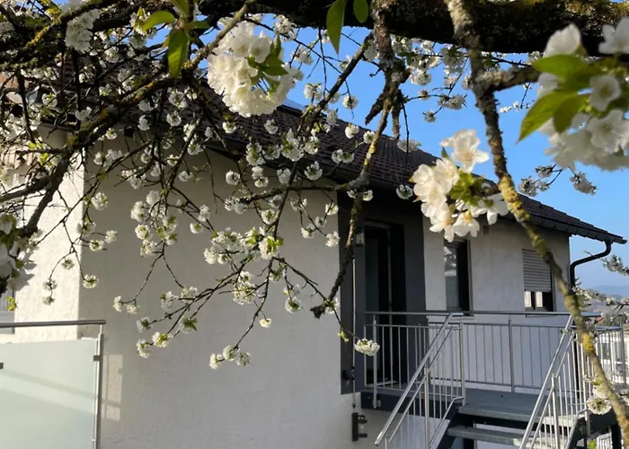 Panoramablick Ferien- Und Monteurwohnung Og Apartmán Mörlenbach